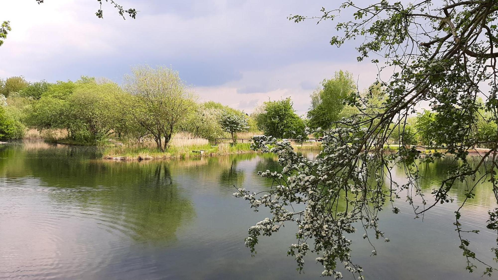 The Salsa, 38 Sunset View Ξενοδοχείο Crowle  Εξωτερικό φωτογραφία