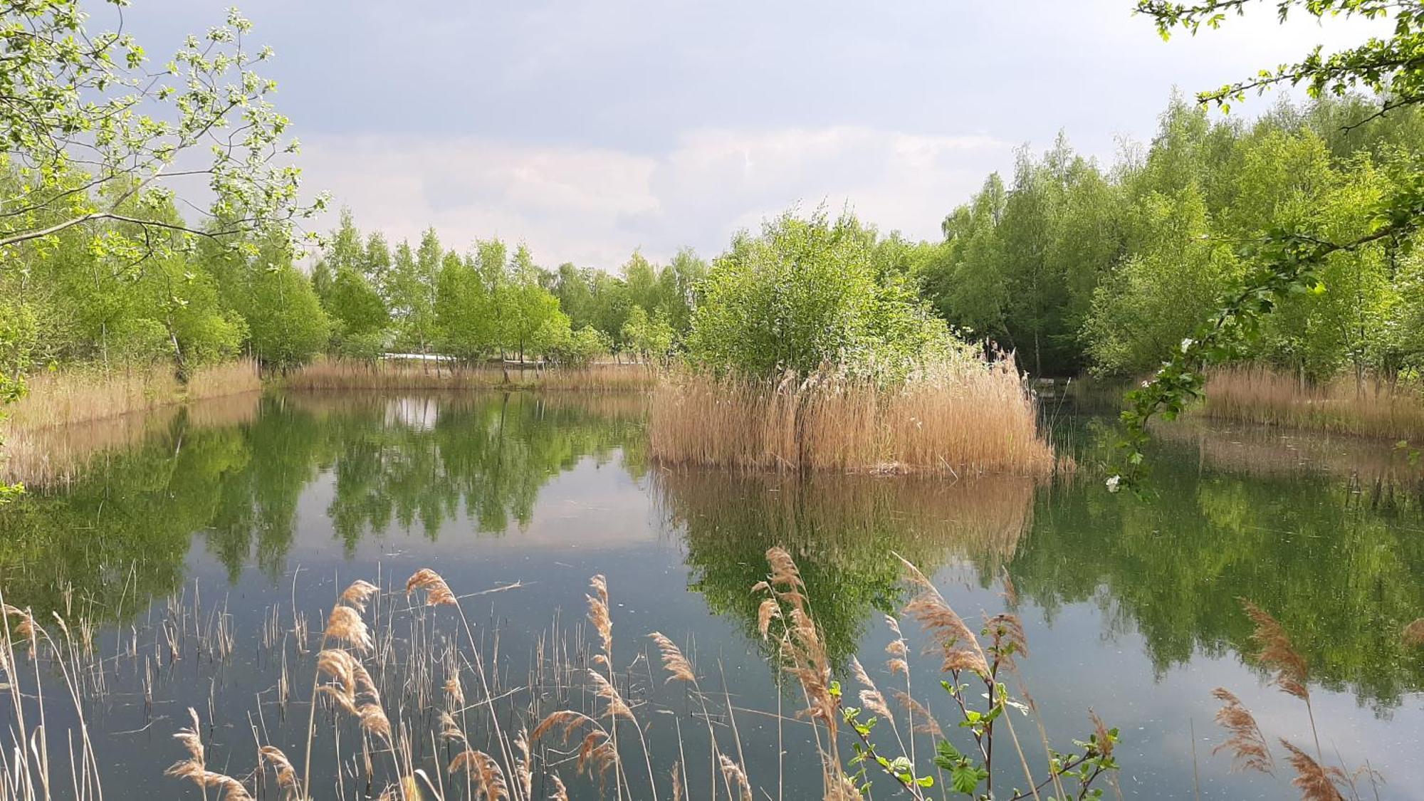 The Salsa, 38 Sunset View Ξενοδοχείο Crowle  Εξωτερικό φωτογραφία